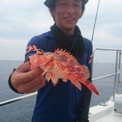 ARCADIAⅡ (アルカディアⅡ) 釣果