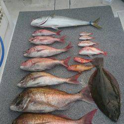 ARCADIAⅡ (アルカディアⅡ) 釣果