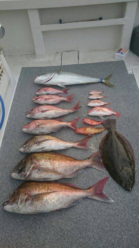 ARCADIAⅡ （アルカディアⅡ） 釣果…