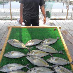 海の釣堀 海恵 釣果