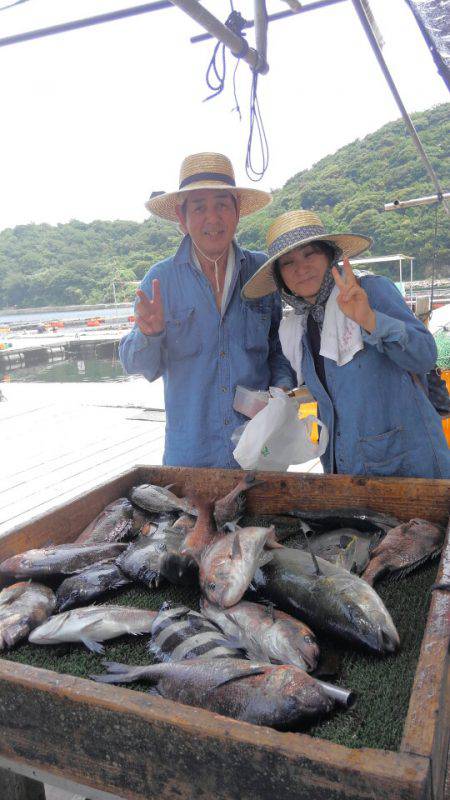 海の釣堀 海恵 釣果