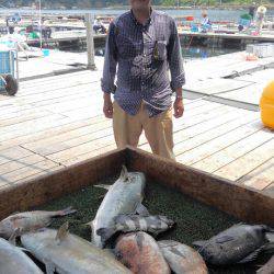 海の釣堀 海恵 釣果