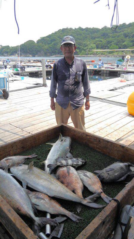 海の釣堀 海恵 釣果