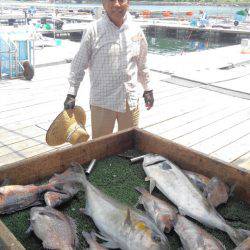 海の釣堀 海恵 釣果