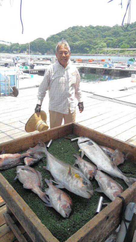 海の釣堀 海恵 釣果
