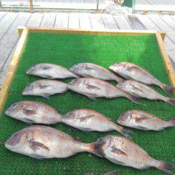 海の釣堀 海恵 釣果