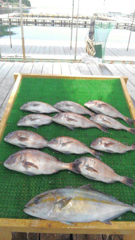 海の釣堀 海恵 釣果