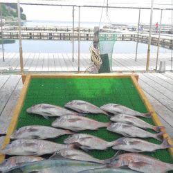 海の釣堀 海恵 釣果