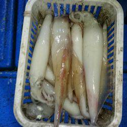 海龍丸（石川） 釣果