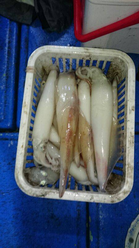 海龍丸（石川） 釣果