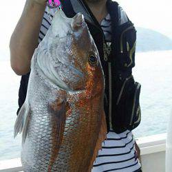 タイラバ遊漁船 ワンピース 釣果