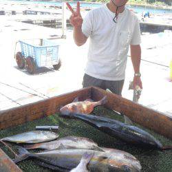 海の釣堀 海恵 釣果
