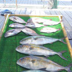 海の釣堀 海恵 釣果