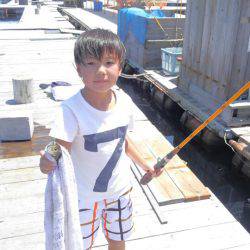 海の釣堀 海恵 釣果