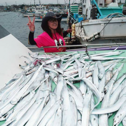 金沢八景鴨下丸 釣果