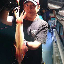 きずなまりん 釣果