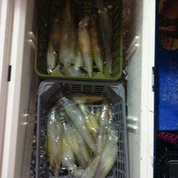 海龍丸（石川） 釣果