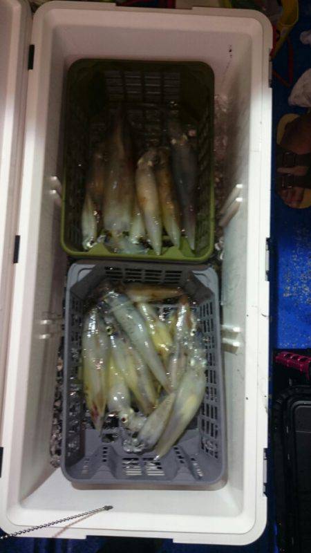 海龍丸（石川） 釣果