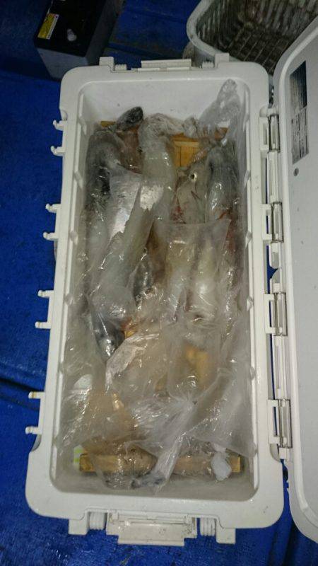 海龍丸（石川） 釣果