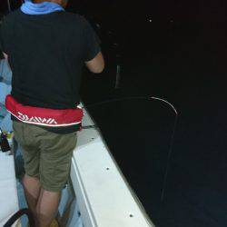 あみや渡船 JIGBOY 釣果