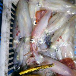 海龍丸（石川） 釣果