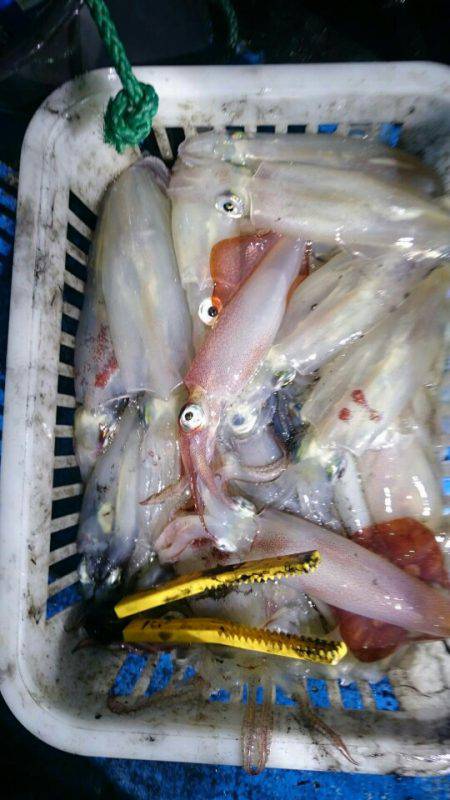 海龍丸（石川） 釣果