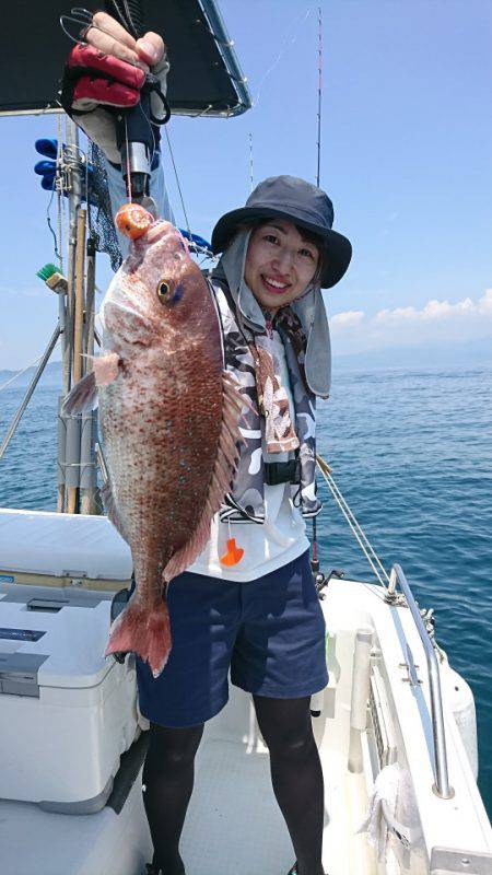 遊漁船 家入 釣果