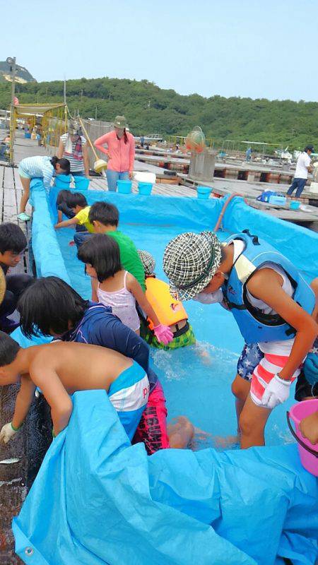 海の釣堀 海恵 釣果