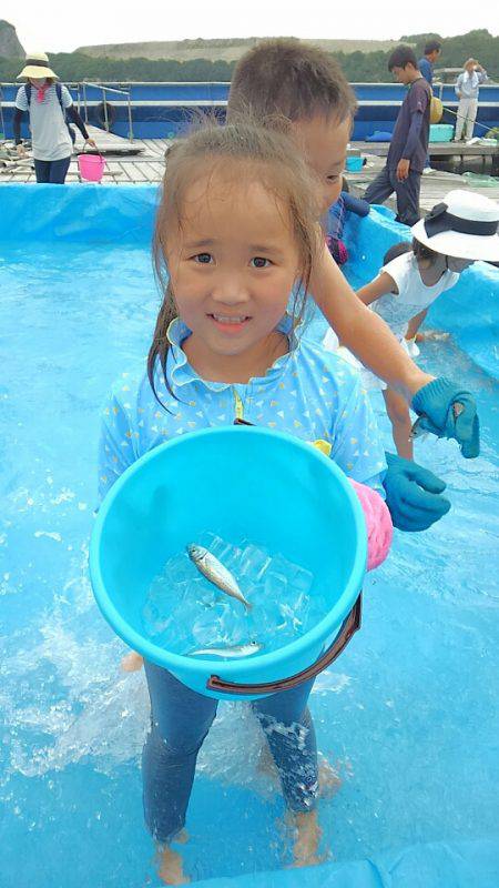 海の釣堀 海恵 釣果