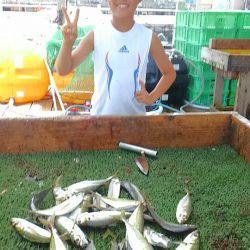 海の釣堀 海恵 釣果