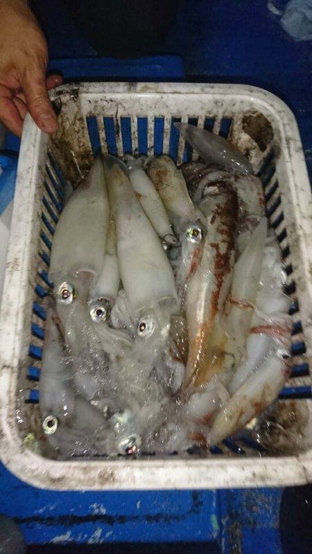 海龍丸(石川) 釣果