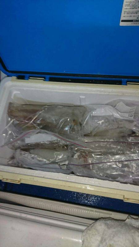 海龍丸(石川) 釣果