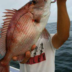 新幸丸 釣果