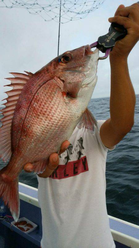 新幸丸 釣果