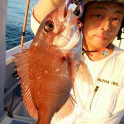 新幸丸 釣果