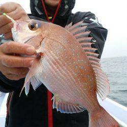 新幸丸 釣果
