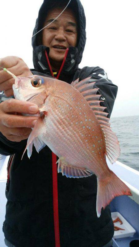 新幸丸 釣果