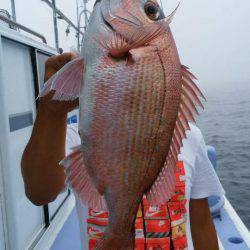 新幸丸 釣果