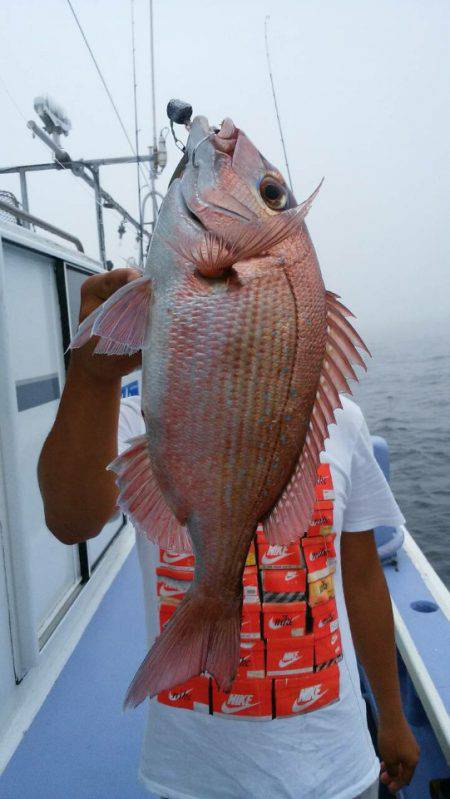 新幸丸 釣果