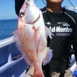 新幸丸 釣果