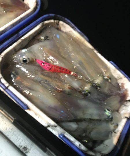 South Current 釣果