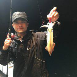 South Current 釣果