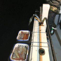 South Current 釣果