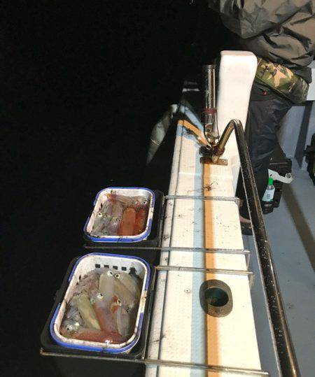 South Current 釣果