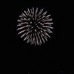 South Current 釣果