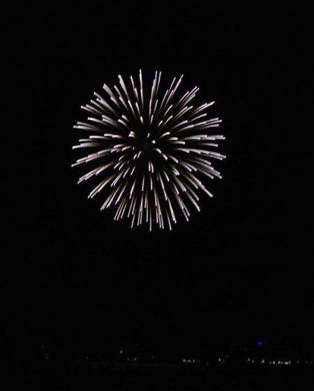 South Current 釣果