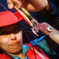 South Current 釣果