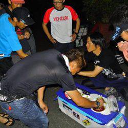 South Current 釣果