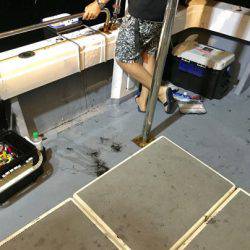 South Current 釣果