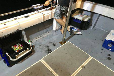 South Current 釣果